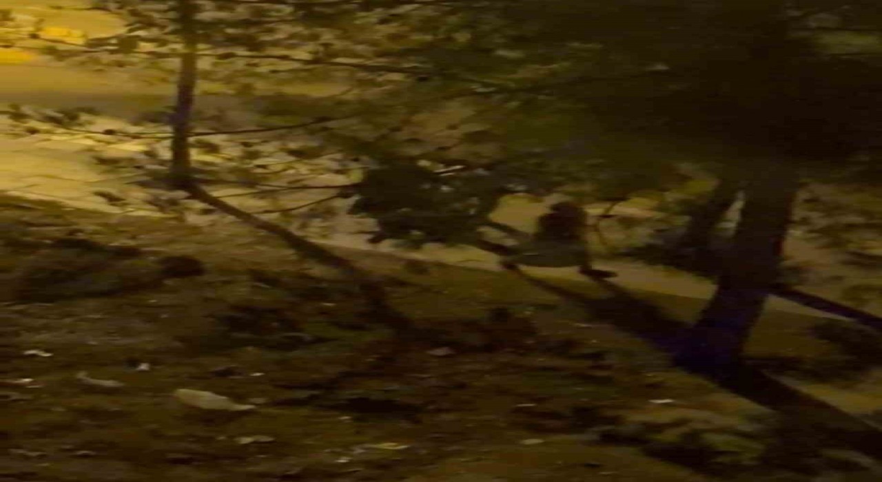 Diyarbakırda husumetlilerin kavgasında kan aktı, olayla ilgisi olmayan bir kişi hayatını kaybetti