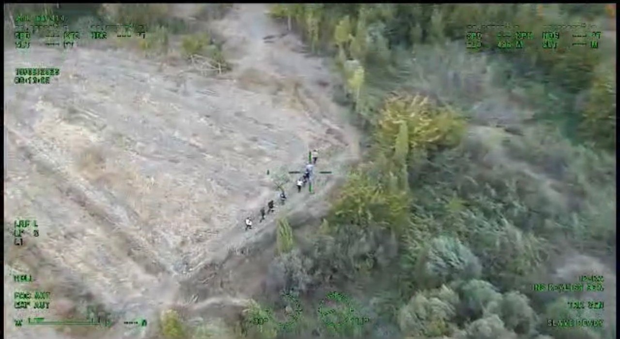 Diyarbakırda piyasa değeri 1 milyar lira olan 12 bin 865 kök kenevir ele geçirildi