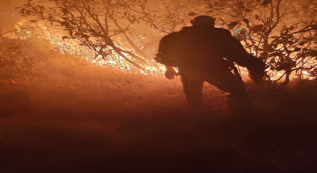 Diyarbakırdaki orman yangını söndürüldü