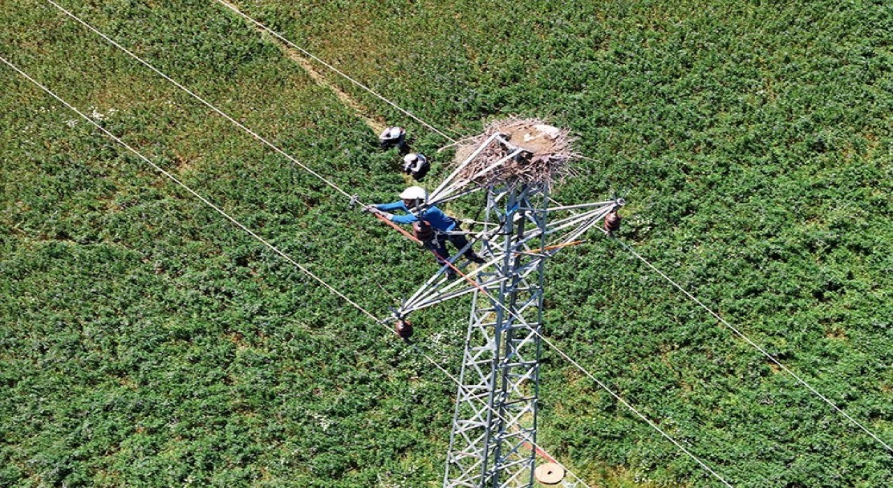 Doğu Anadoluda hem leylekler hem de enerji güvende