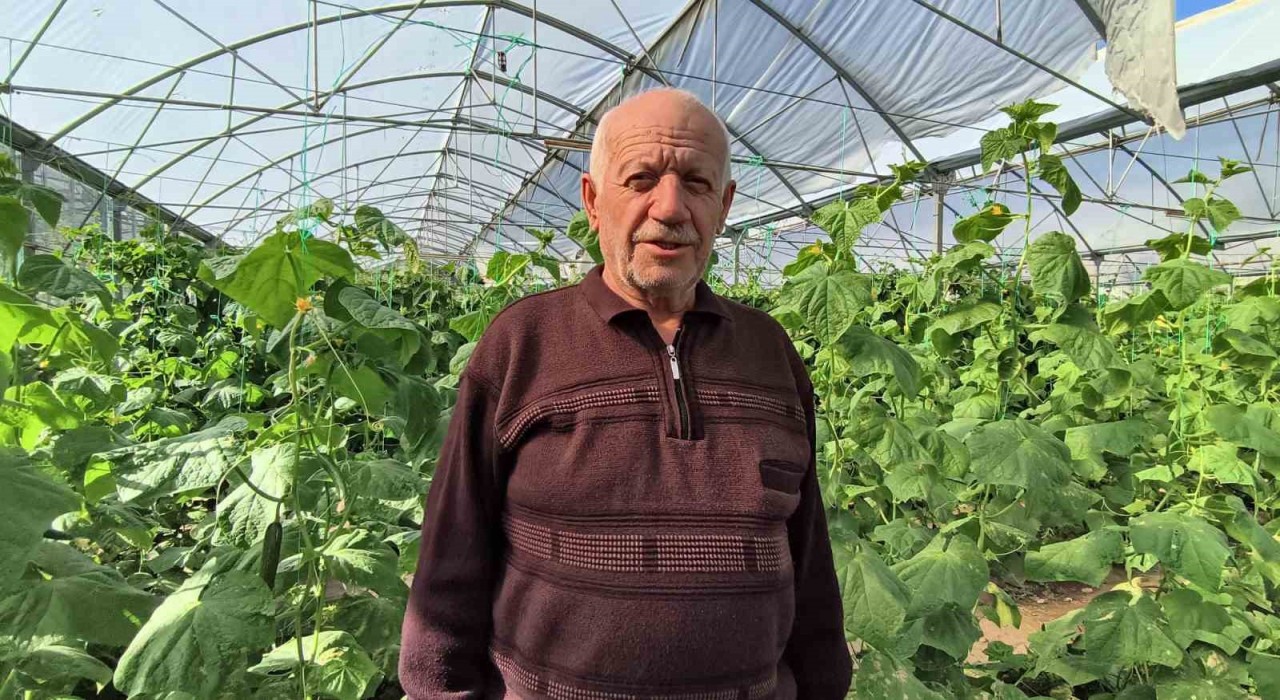 Doğu Anadolunun en büyük serasında üretim aralıksız sürüyor