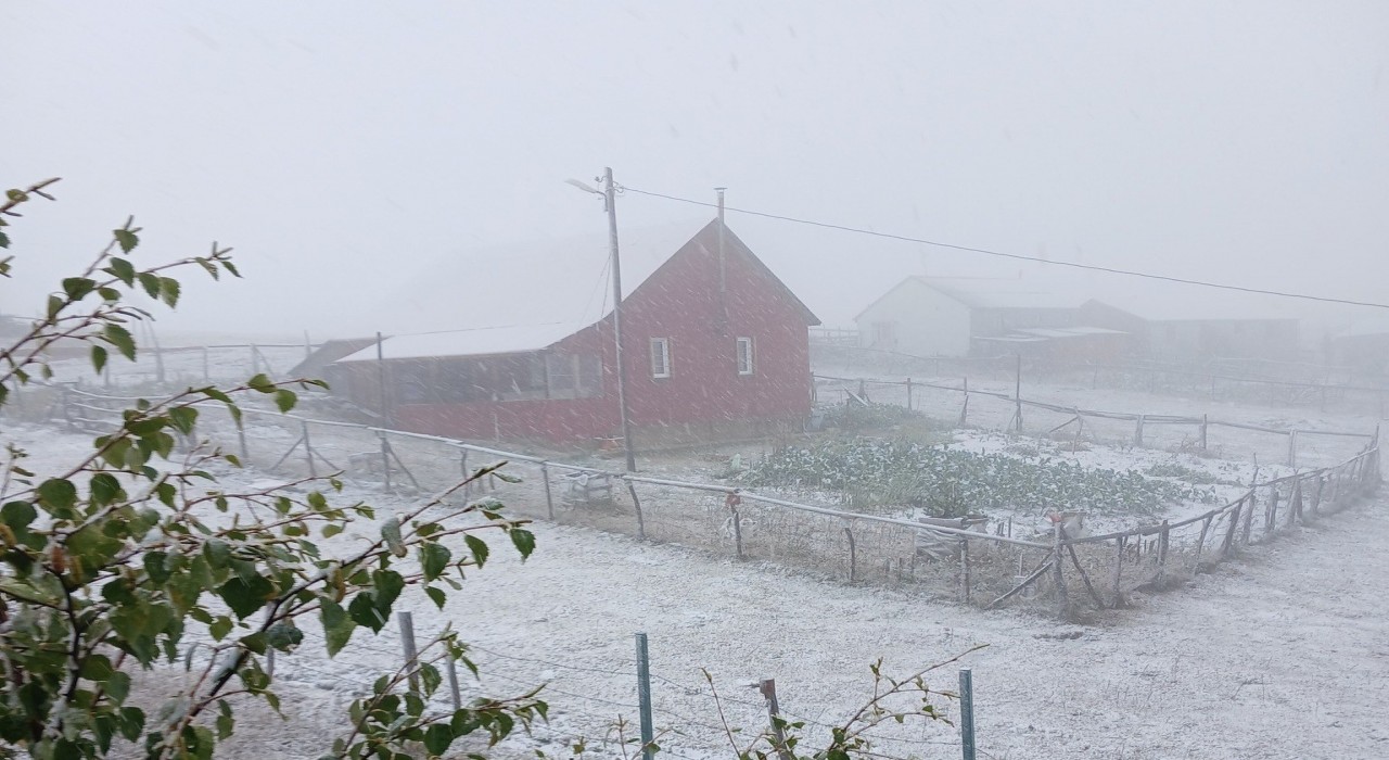 Doğu Karadenizin sahili ve iç kesimlerindeki şiddetli yağış yerini zirvelerde kara bıraktı