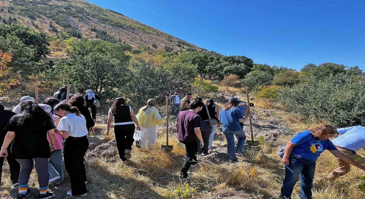 Dünya Eczacılar Gününde Ali Dağına Yeşil Nefes
