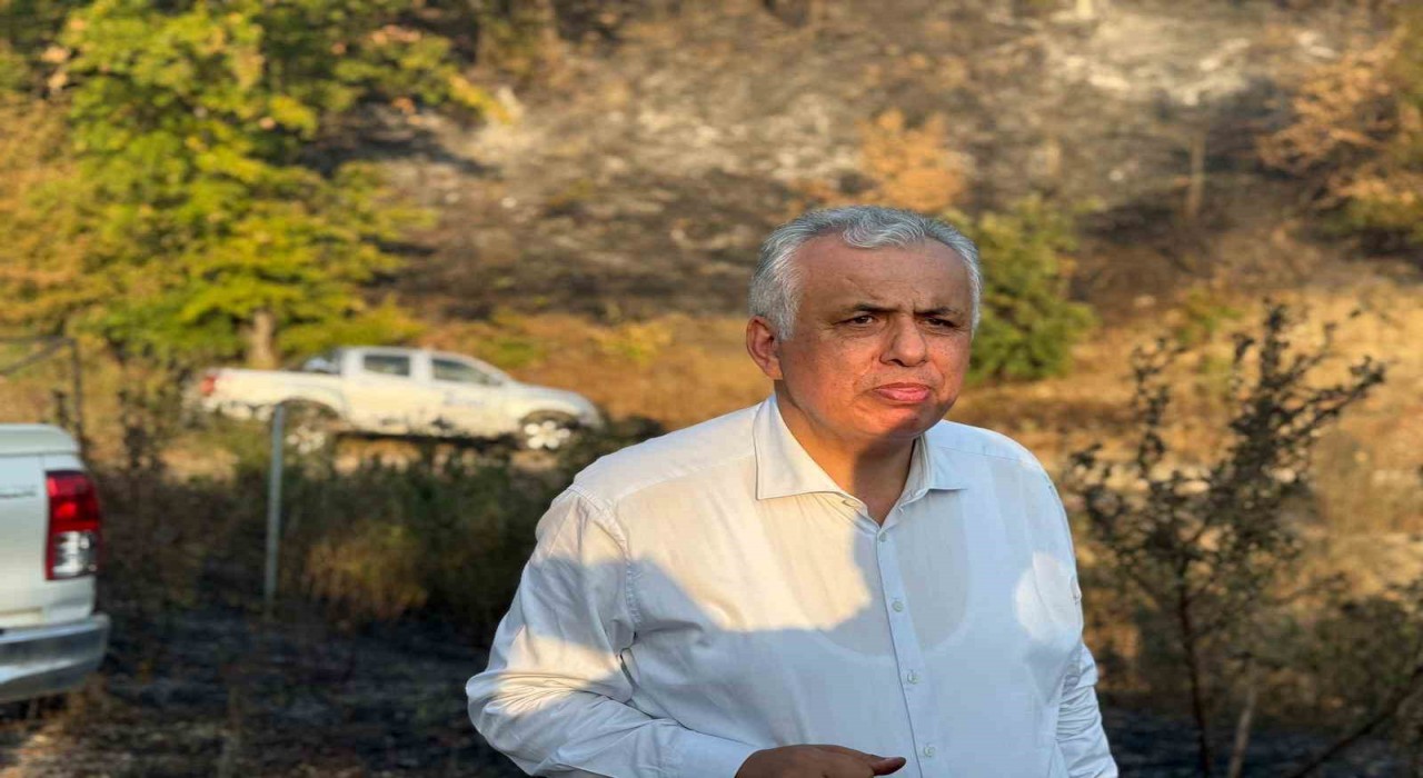 Düzce Vali Vekili Cinbir: Orman yangını kontrol altına alınmak üzere