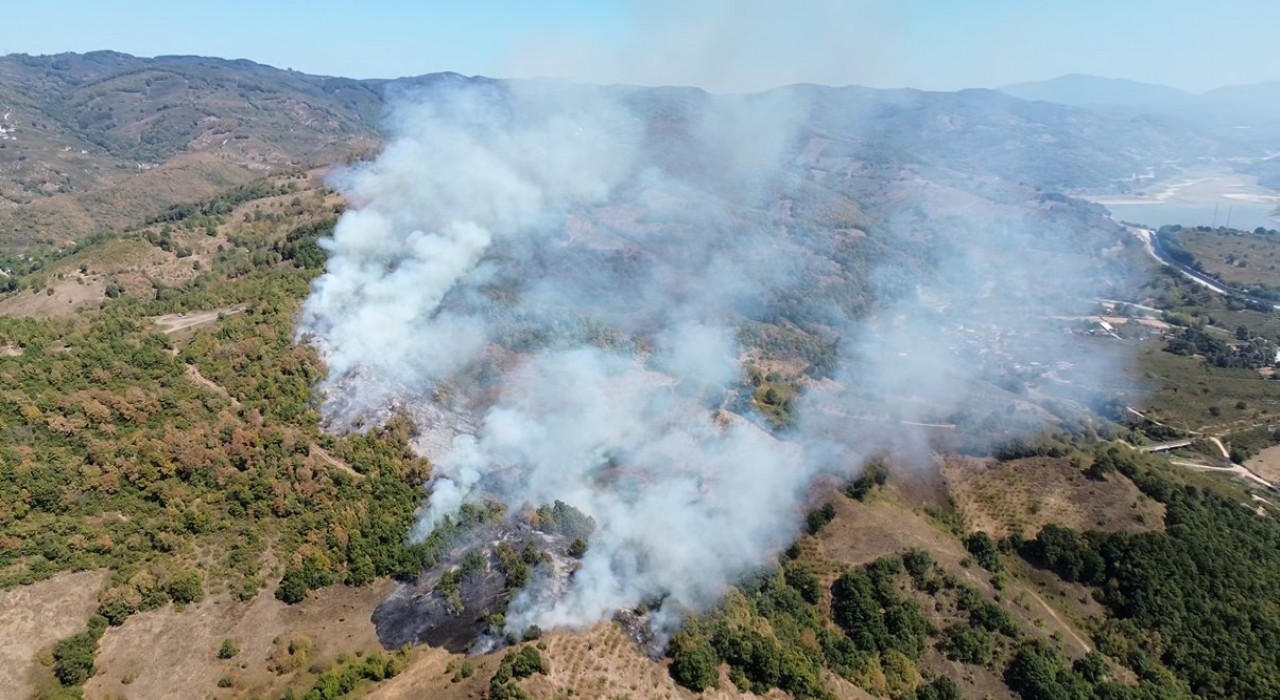 Düzcede orman yangını