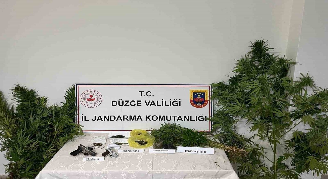 Düzcede uyuşturucu operasyonunda 1 tutuklama