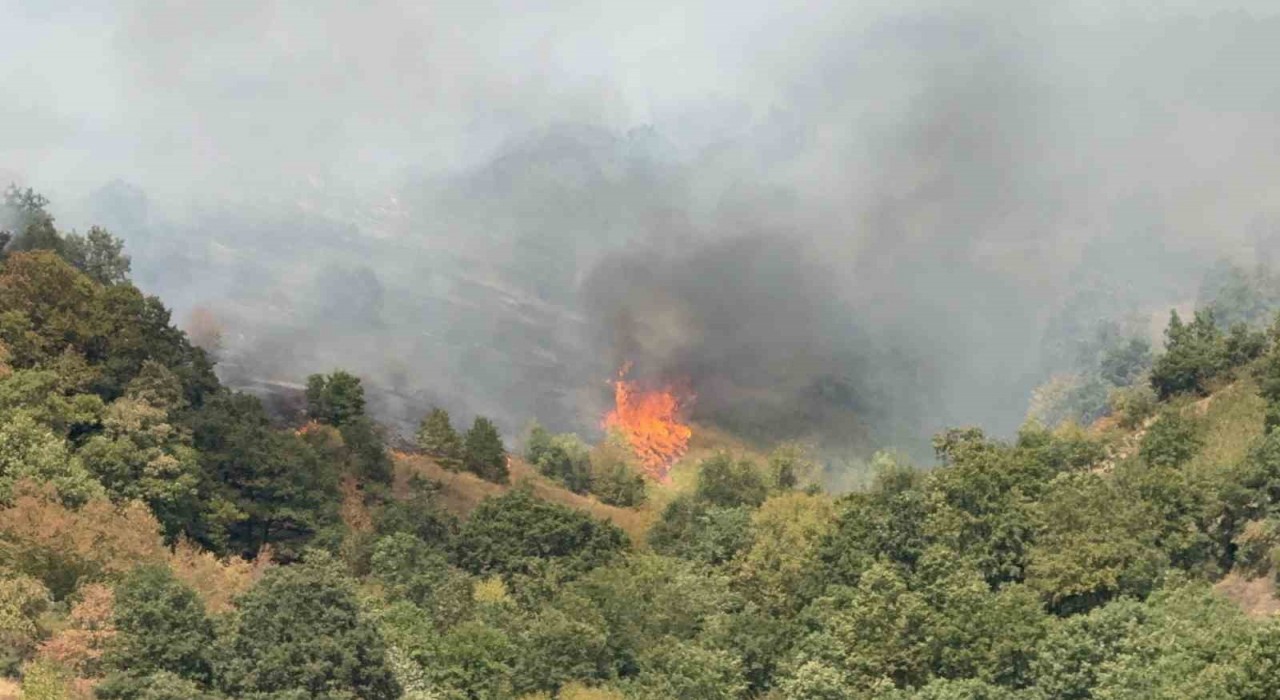 Düzcede yangının çıkış nedeni araştırılıyor