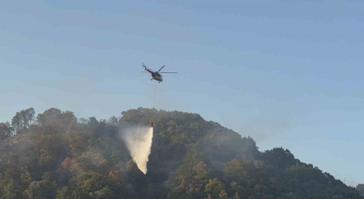 Düzcedeki orman yangını kısmen kontrol altına alındı
