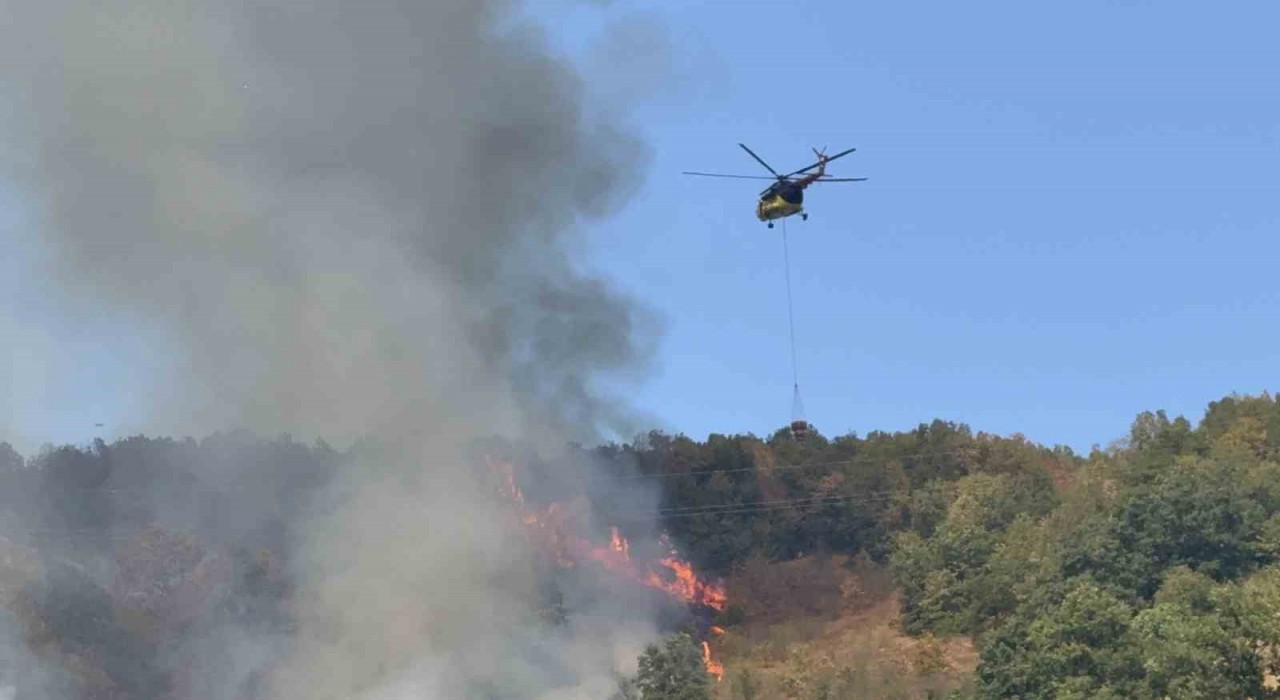 Düzcedeki orman yangınına helikopter ve 20 araçla müdahale sürüyor