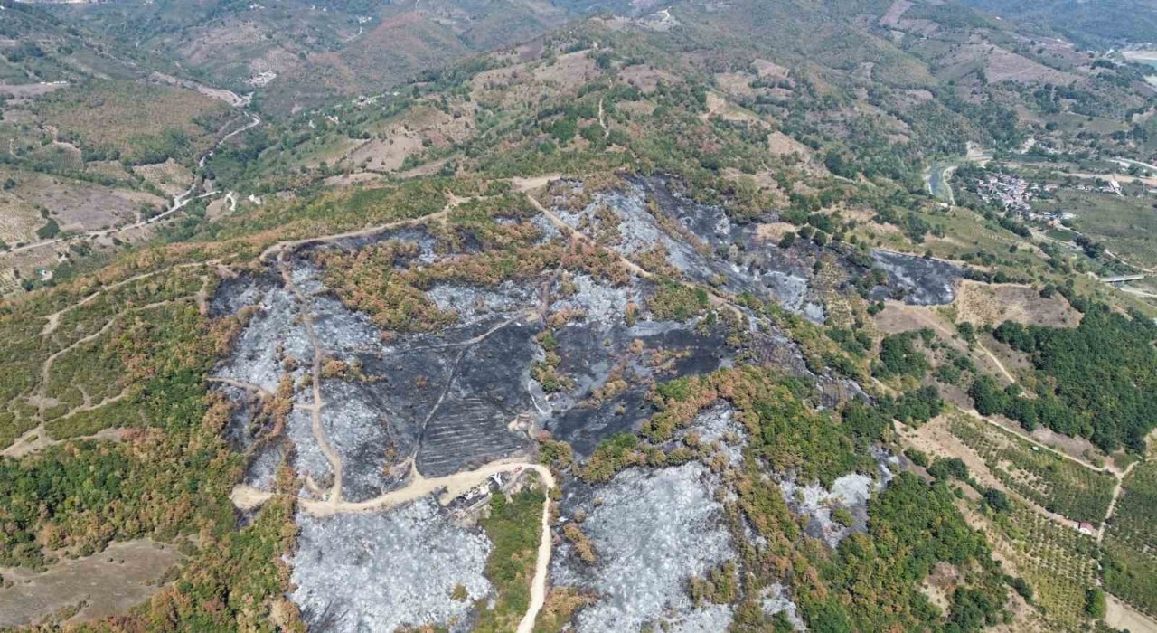 Düzcedeki yangının boyutu havadan görüntülendi