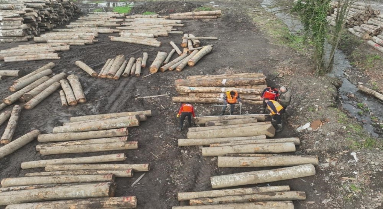 Düzceden 9 bin 967,5 ton orman ürünü ihraç edildi