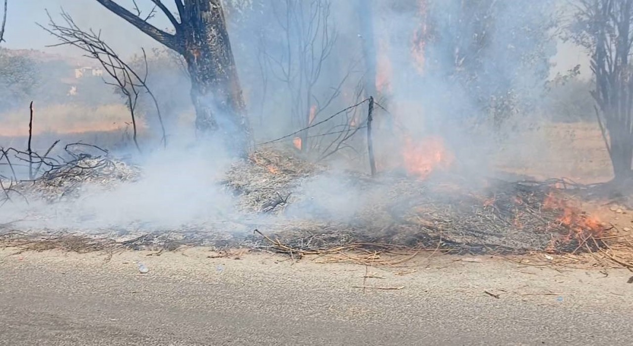 Efelerdeki yangına itfaiye ekiplerinden hızlı müdahale