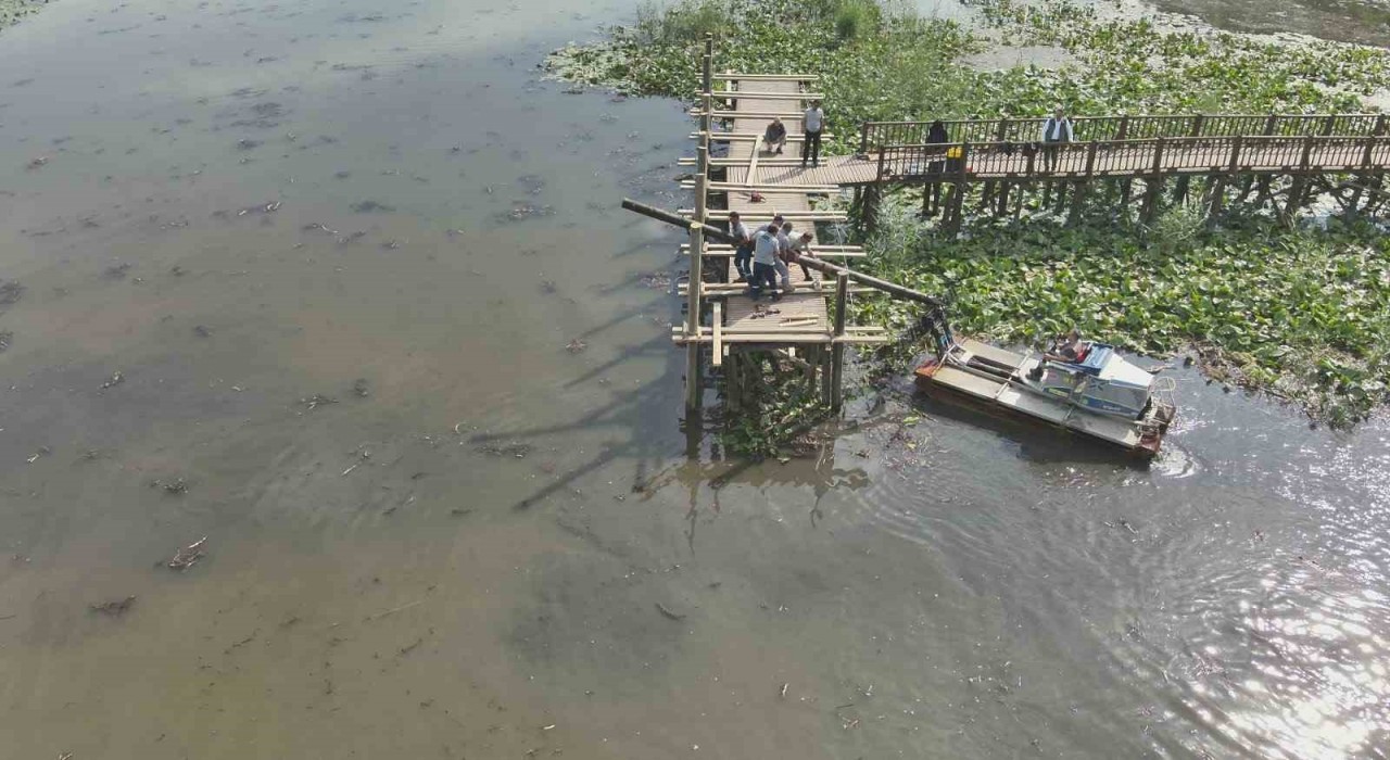 Efteni Gölü ahşap iskelesi yenileniyor