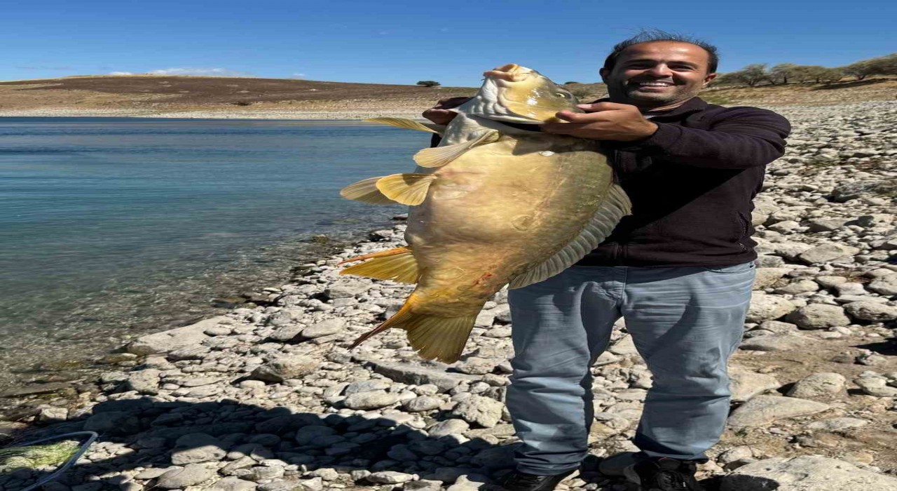 Elazığda 21 kiloluk dev sazan avlandı