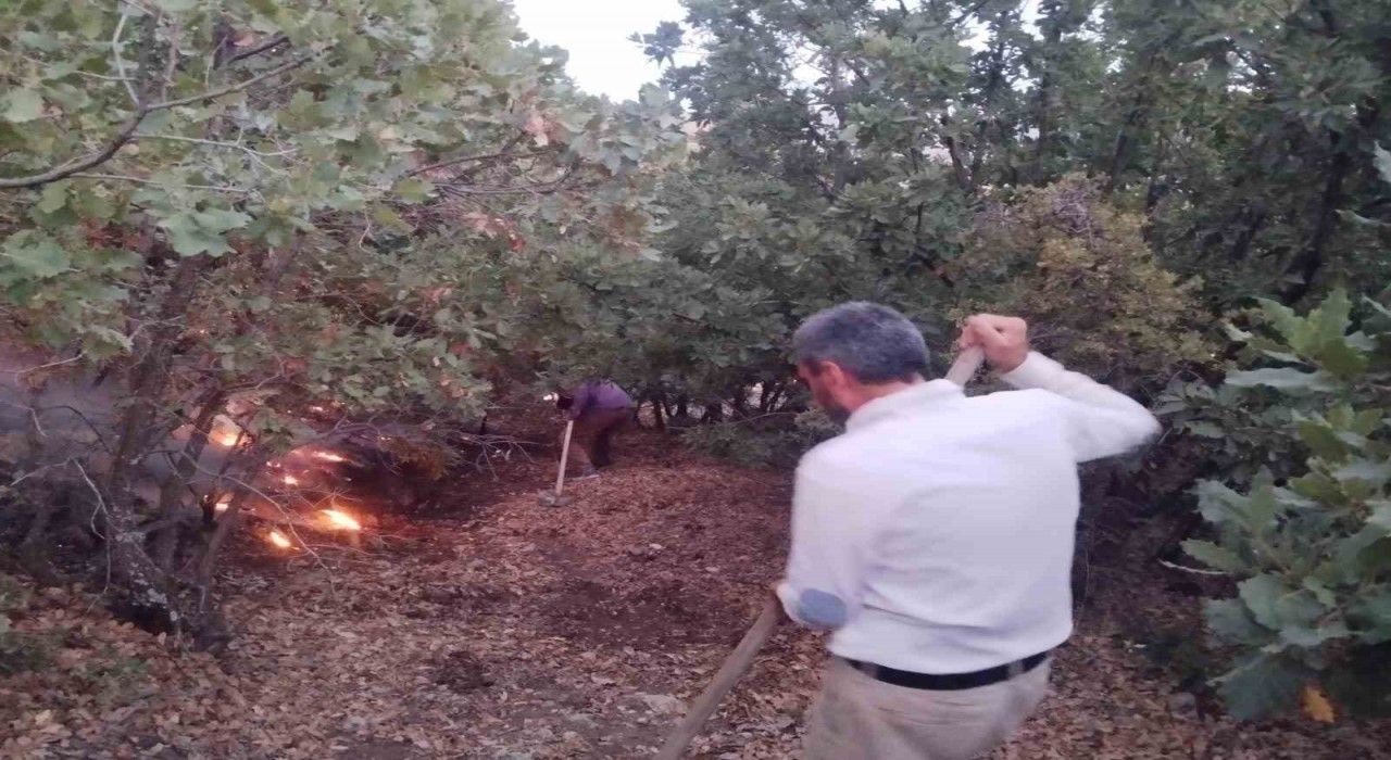 Elazığda ağaçlık alanda yangın