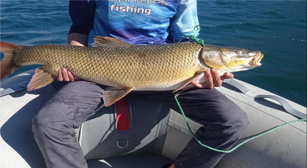 Elazığda amatör balıkçı 15 kiloluk dev turna yakaladı