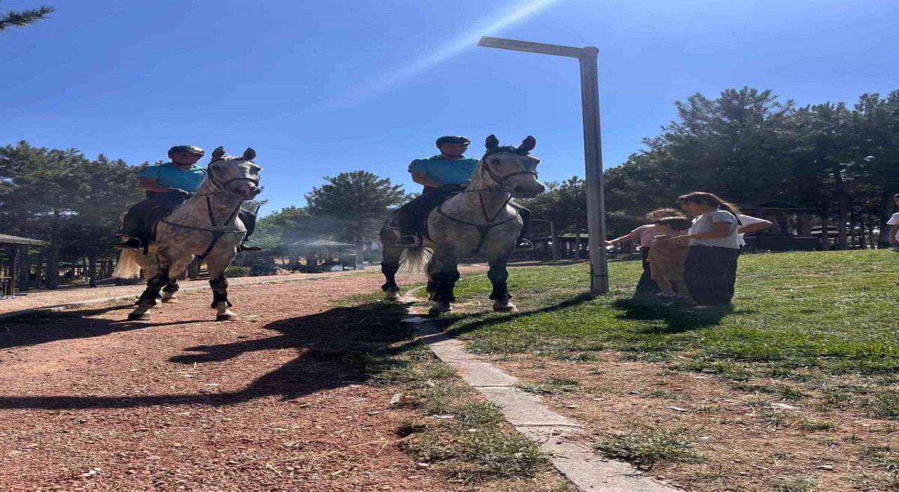 Elazığda Harput ve Cip, Atlı Jandarma Timlerine emanet