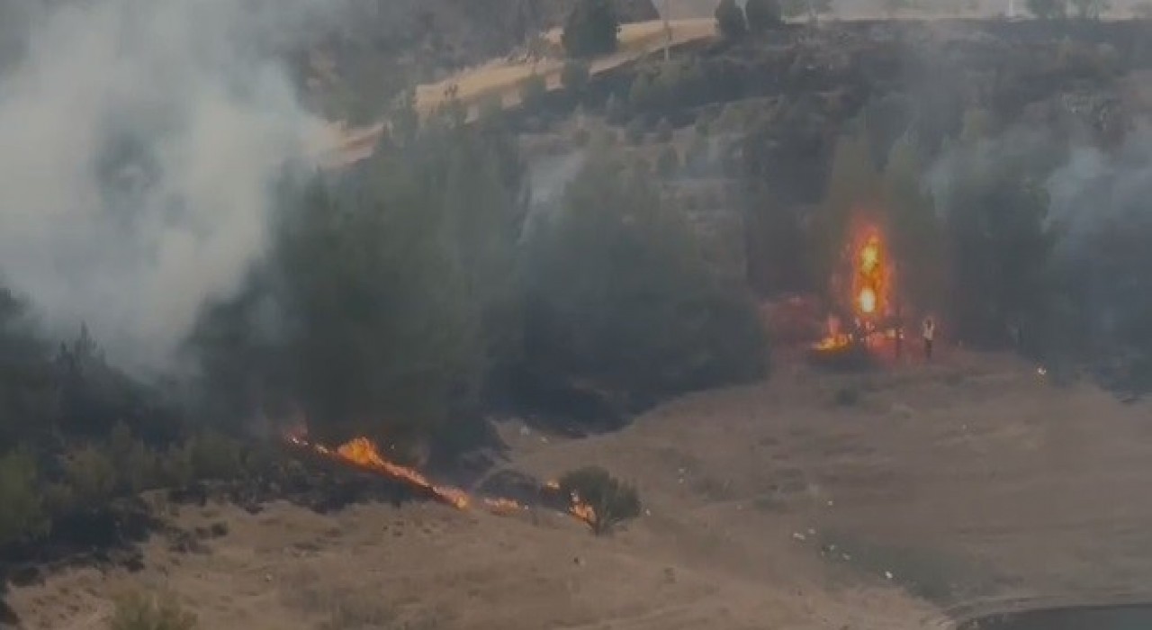 Elazığda kırsal alan yangını