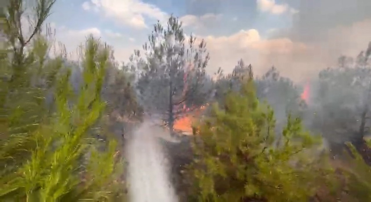 Elazığda ormanlık alanda yangın