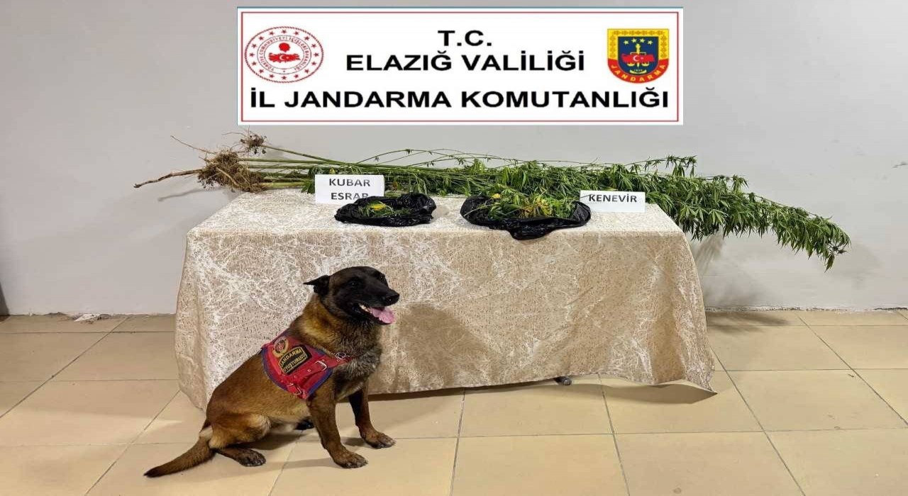 Elazığda uyuşturucuyla mücadele