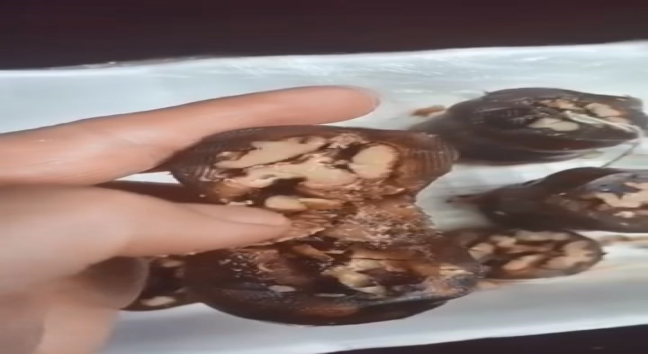 Elazığda vatandaşın aldığı orcikten böcek çıktı