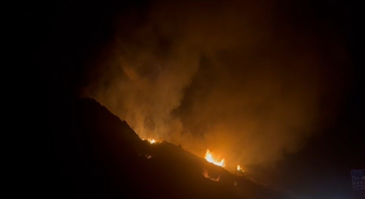 Elektrik tellerinden çıkan yangında ağaçlık alan alevlere teslim oldu