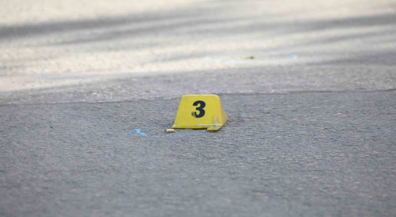 Ercişte iki kardeşe silahlı saldırı: 1 ölü, 1 yaralı