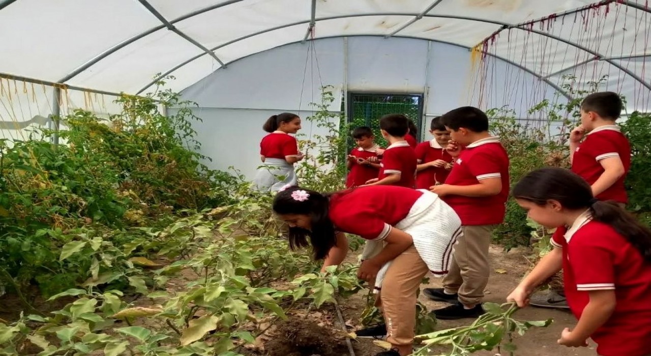 Erzincanda öğrenciler serada kış sebzelerinin ekimine başladı