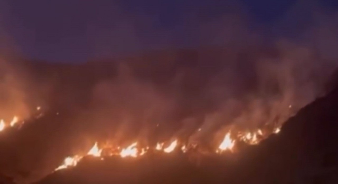 Erzincanda örtü yangını ormana sirayet etmeden kontrol altına alındı