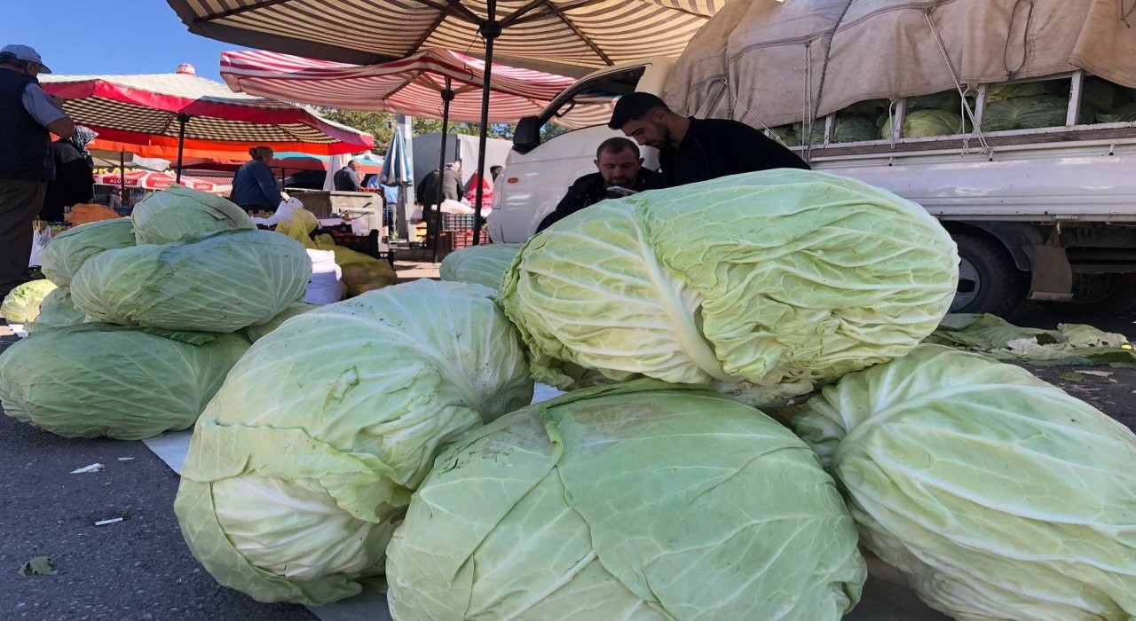 Erzincanda turşuluk ve yemeklik lahanalar tezgahta yerini aldı