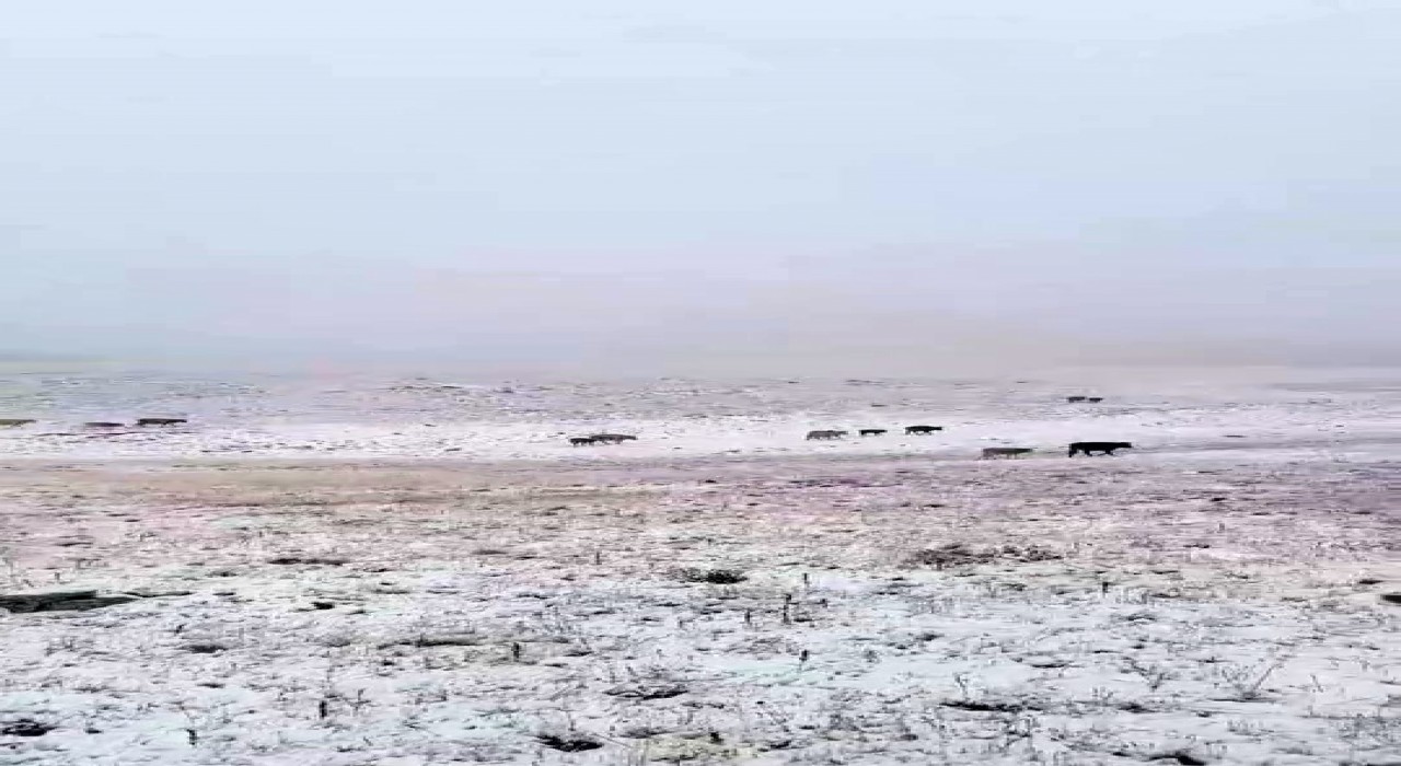 Erzuruma mevsimin ilk karı yağdı