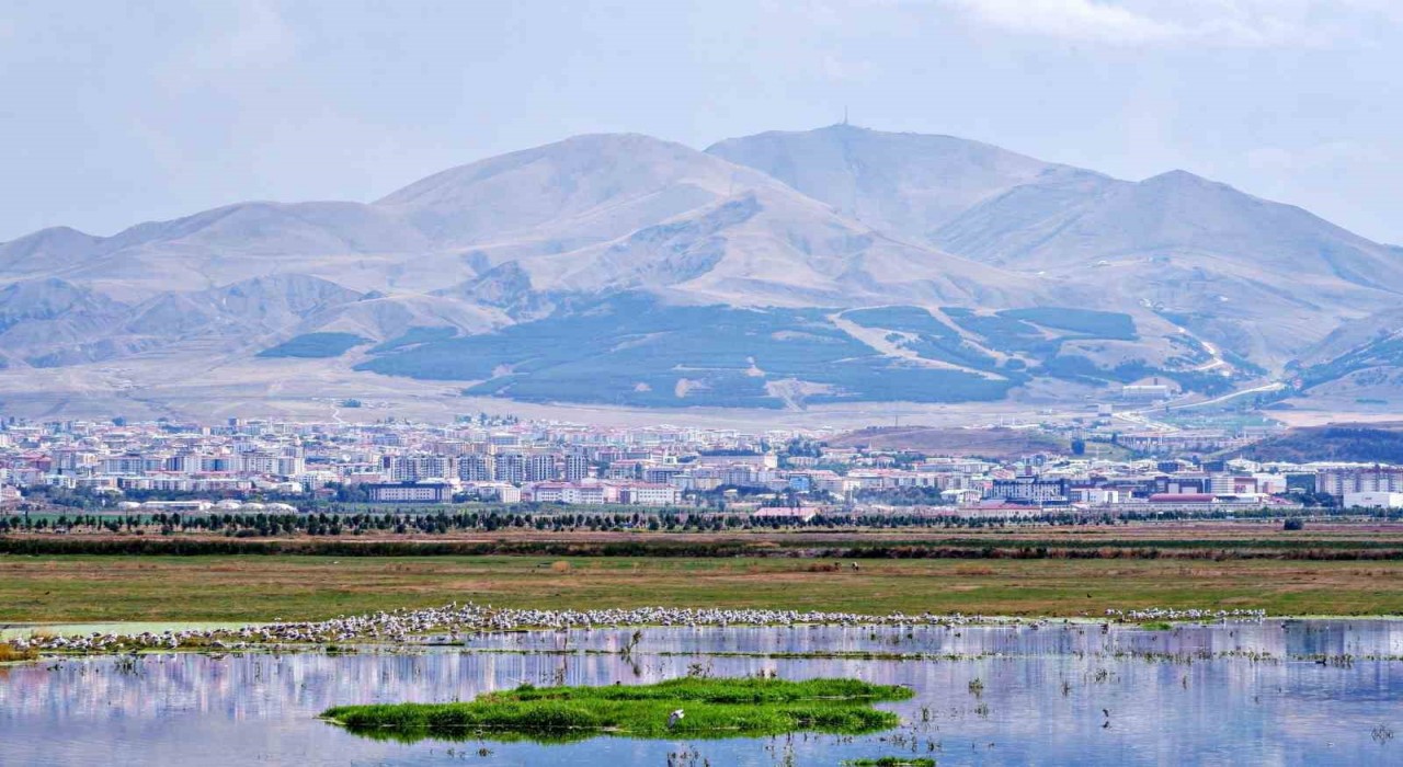 Erzurumun Beşeri Sermaye Endeksi puanı 0.675 oldu