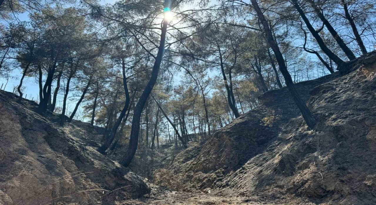 Evini yangından korumak için mücadele ederken kalp krizi geçirdi