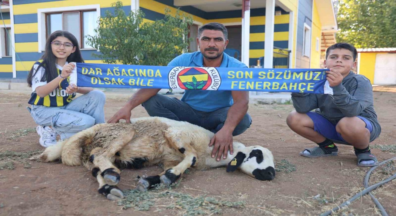 Fenerbahçenin makus tarihi değişsin diye, adadıkları hayvanı kestiler