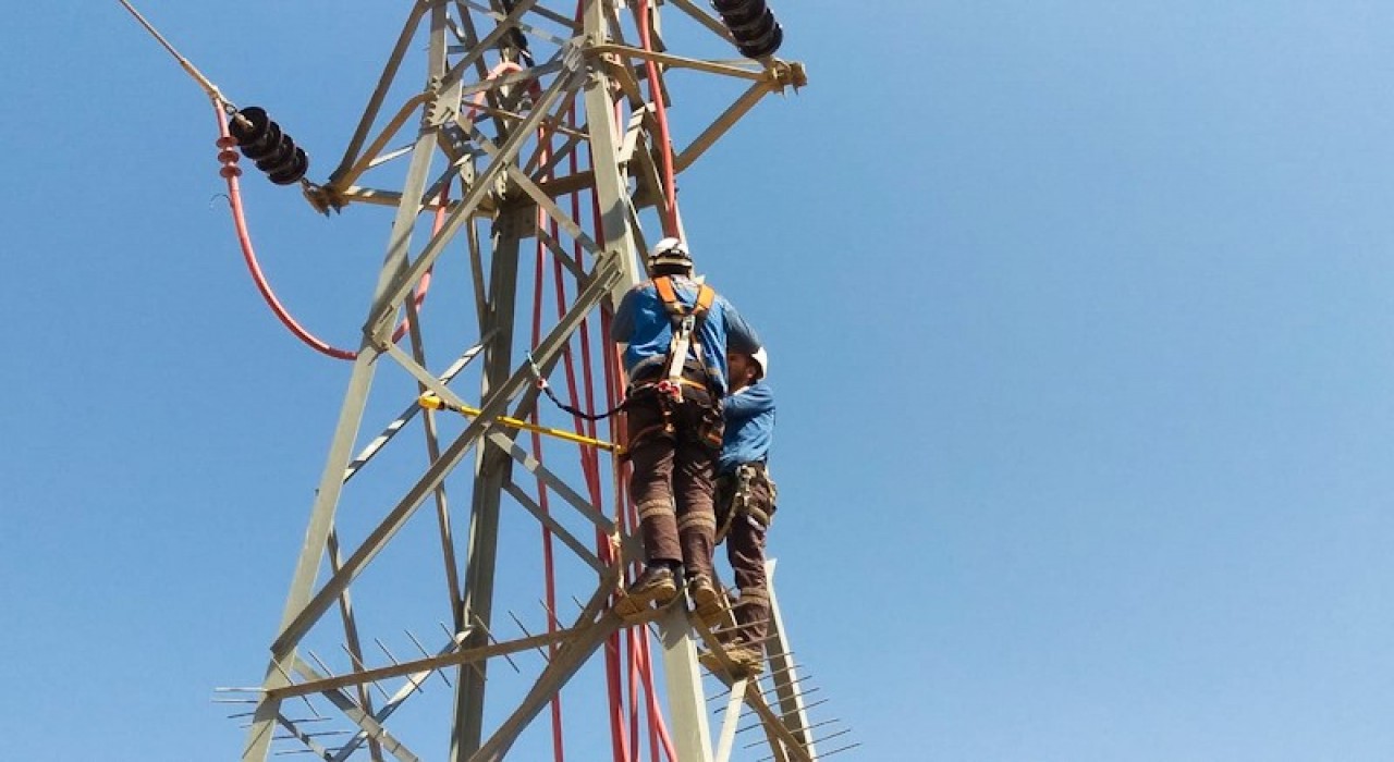 Fırat EDAŞ,  kesintisiz enerji arzını ve leylekleri güvence altına alıyor
