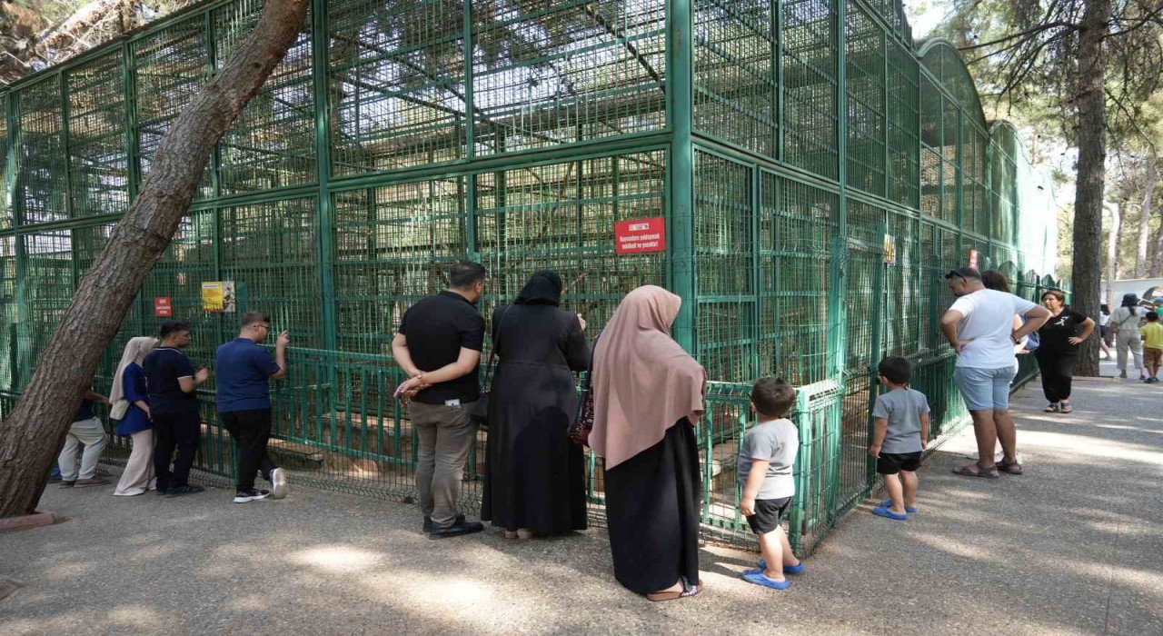 Gaziantep Doğal Yaşam Parkında 8 ayda bir yılın rekoru kırıldı