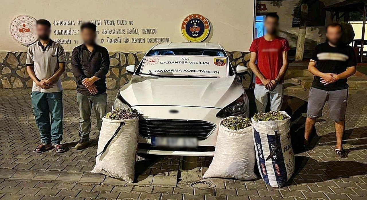 Gaziantepte hırsızlık şüphelisi 24 şahıs yakalandı