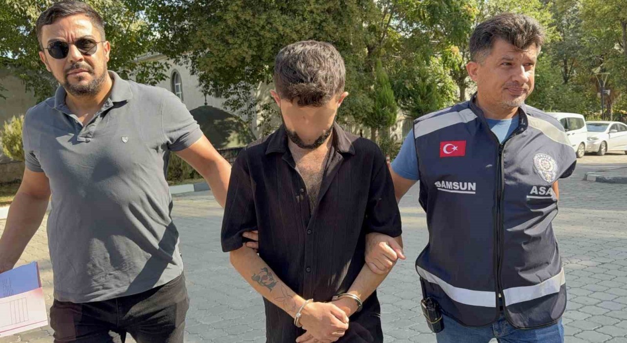 Geceleyin kamyonun kornasını çalan şahıs tutuklandı