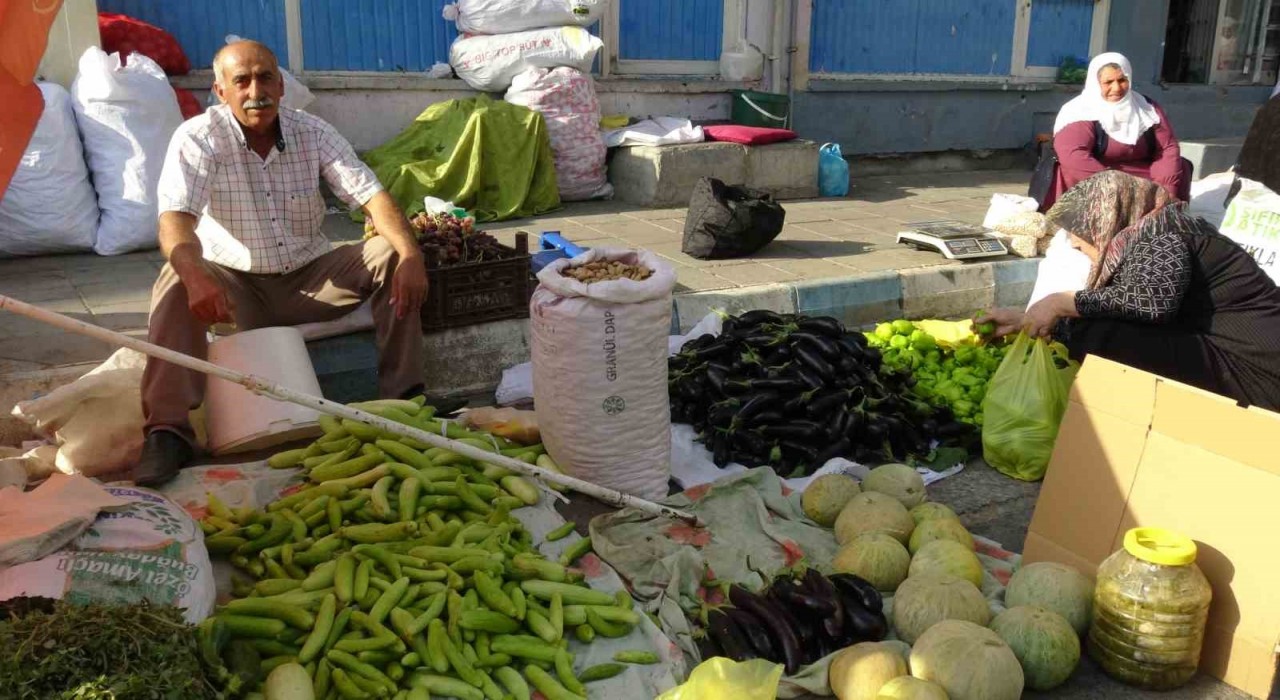 Gercüşte organik ürünlerdeki bolluk fiyatları düşürdü