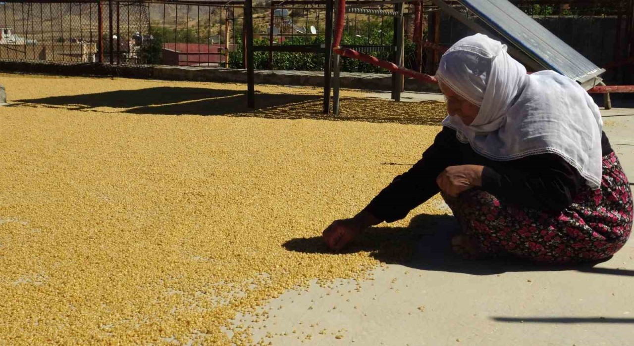 Gercüşte yüzyıllardır devam eden bulgur kaynatma geleneği devam ediyor