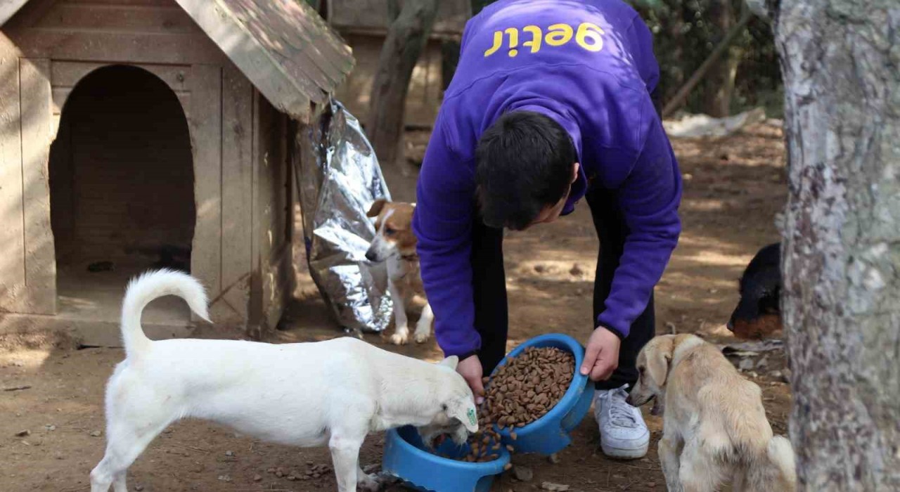 Getirden bu yıl da 1 milyon kap mama desteği