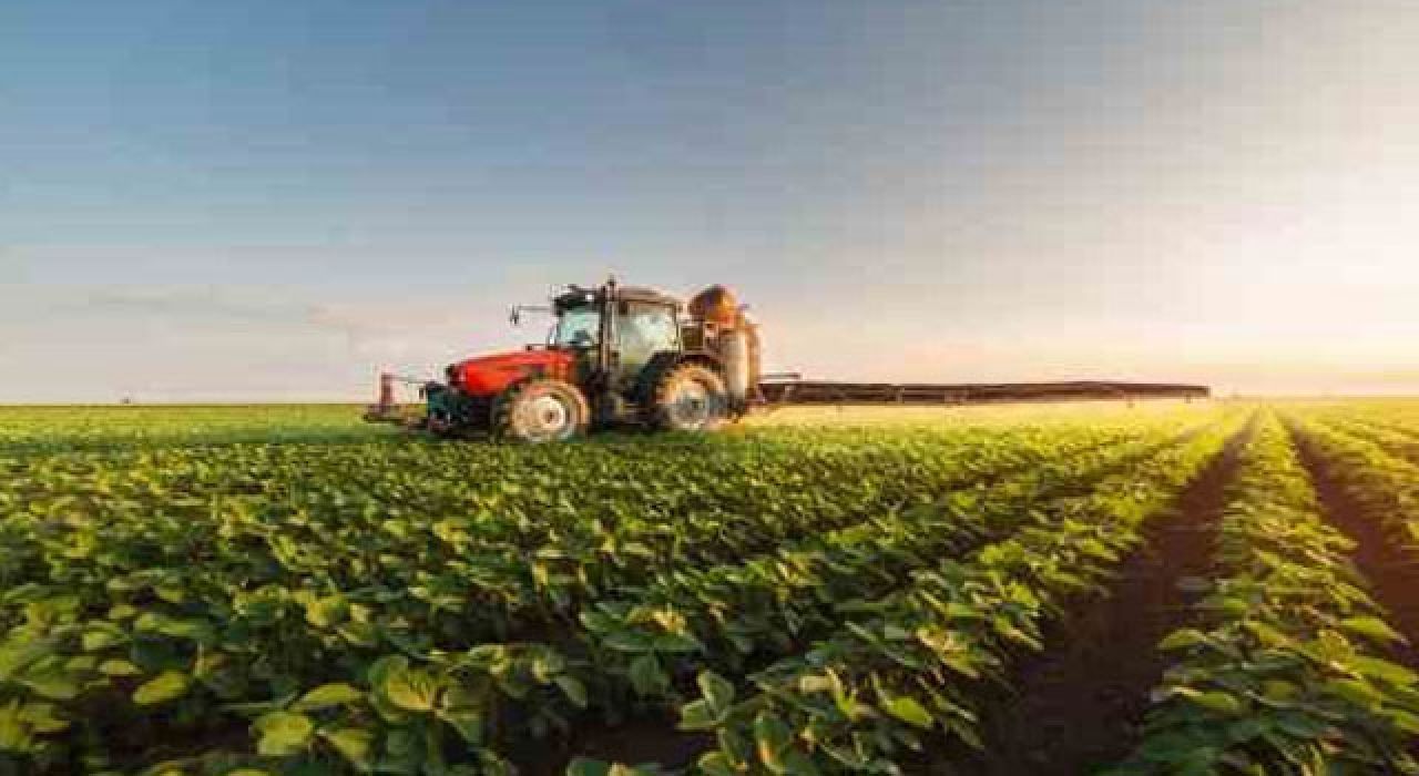 Gıda ve İçecek Sektöründe İhracatta Artış, İthalatta Rekor Yükseliş