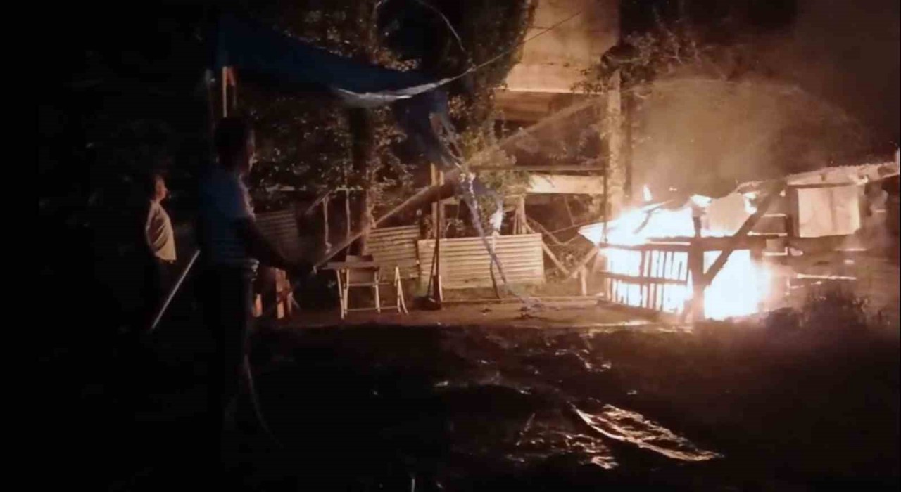 Giresunda yangında 1 ton fındık kül oldu