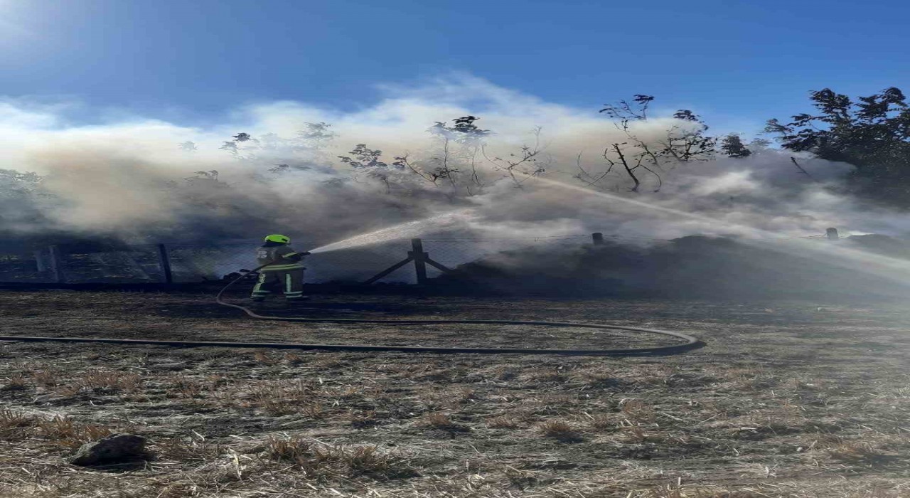 Gönende çıkan yangın kısa sürede kontrol altına alındı