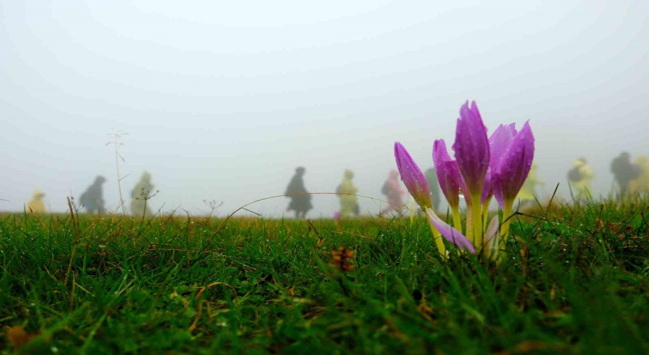 Gümüşhanede 130 dağcı Çetlüce Yaylasında sis ve yağmur altında yürüdü