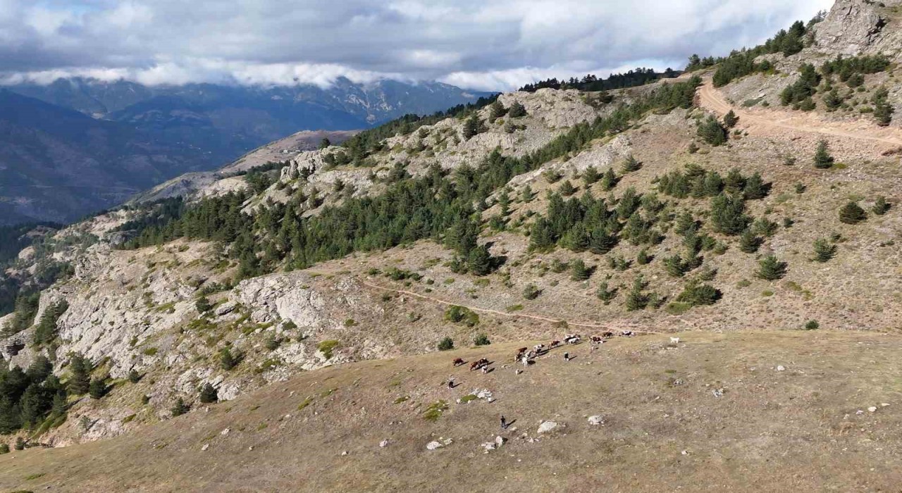 Gümüşhanede genç muhtarın Türkiyeye ilham veren başarı hikayesi