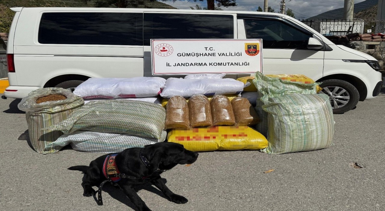 Gümüşhanede kaçak tütün operasyonu: 530 kilo tütün ele geçirildi