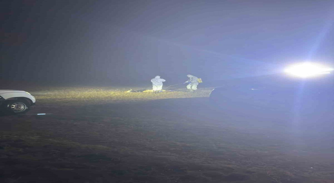 Gümüşhanede şap hastalığı nedeniyle 5 köy karantinaya alındı