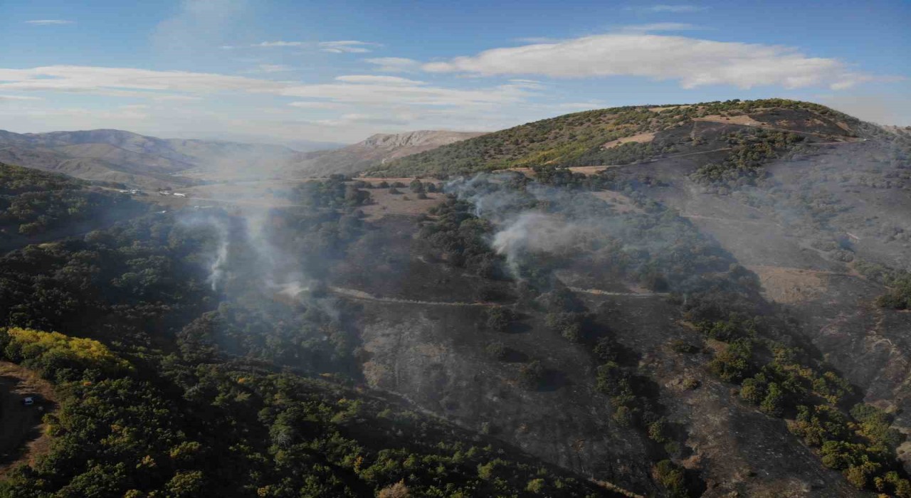 Gümüşhanedeki orman yangınında 30 hektar alan küle döndü