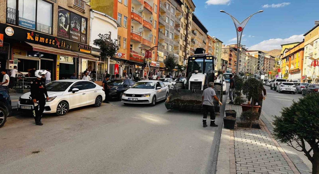 Hakkaride 235 ağaç toprakla buluştu